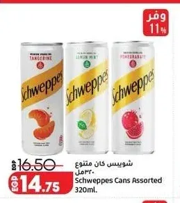 شويبس كان متنوع 320 مل