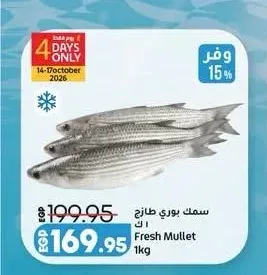 سمك بوري طازج 1 كجم