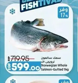 سمك سلمون نرويجي كامل 1 كجم