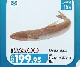 سمك مكرونة طازج 1 كجم
