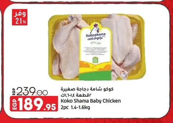 كوكو شامة دجاجة صغيرة 2 قطعة 1.4-1.6 كجم