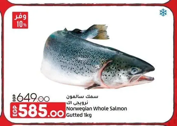 سمك سالمون نرويجي 1 كجم