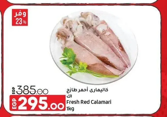 سمك كاليماري أحمر طازج اك