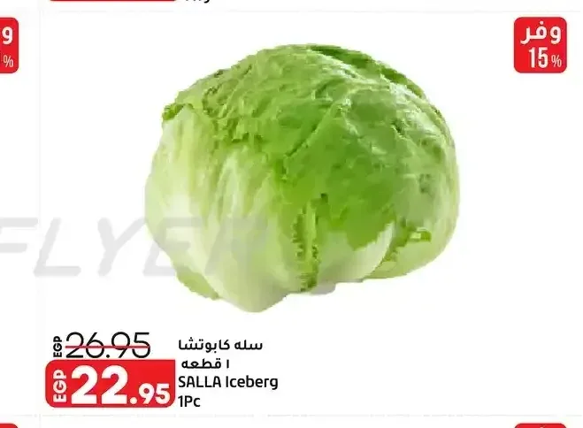 سلة كابوتشا 1 قطعة