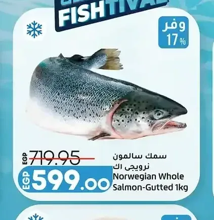 سمك سلمون نرويجي كامل 1 كجم