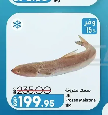 سمك مكرونة 1 كجم