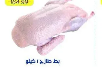 بط طازج 1 كيلو