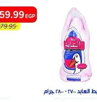 بط العابد 2700 - 2800 جرام