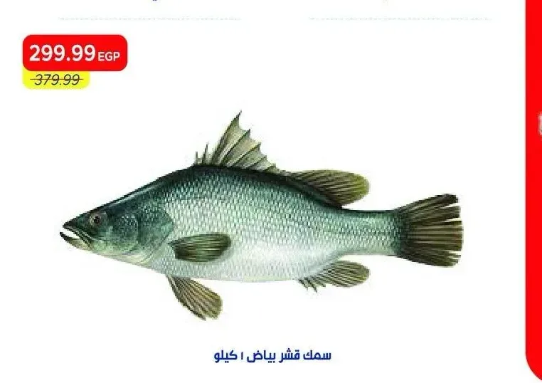 سمك قشر بياض 1 كيلو