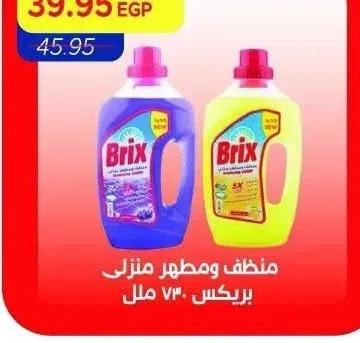 منظف ومطهر منزلي بريكس ٧٣٠ مل