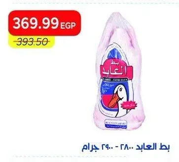 بط العابد 2800 - 2900 جرام