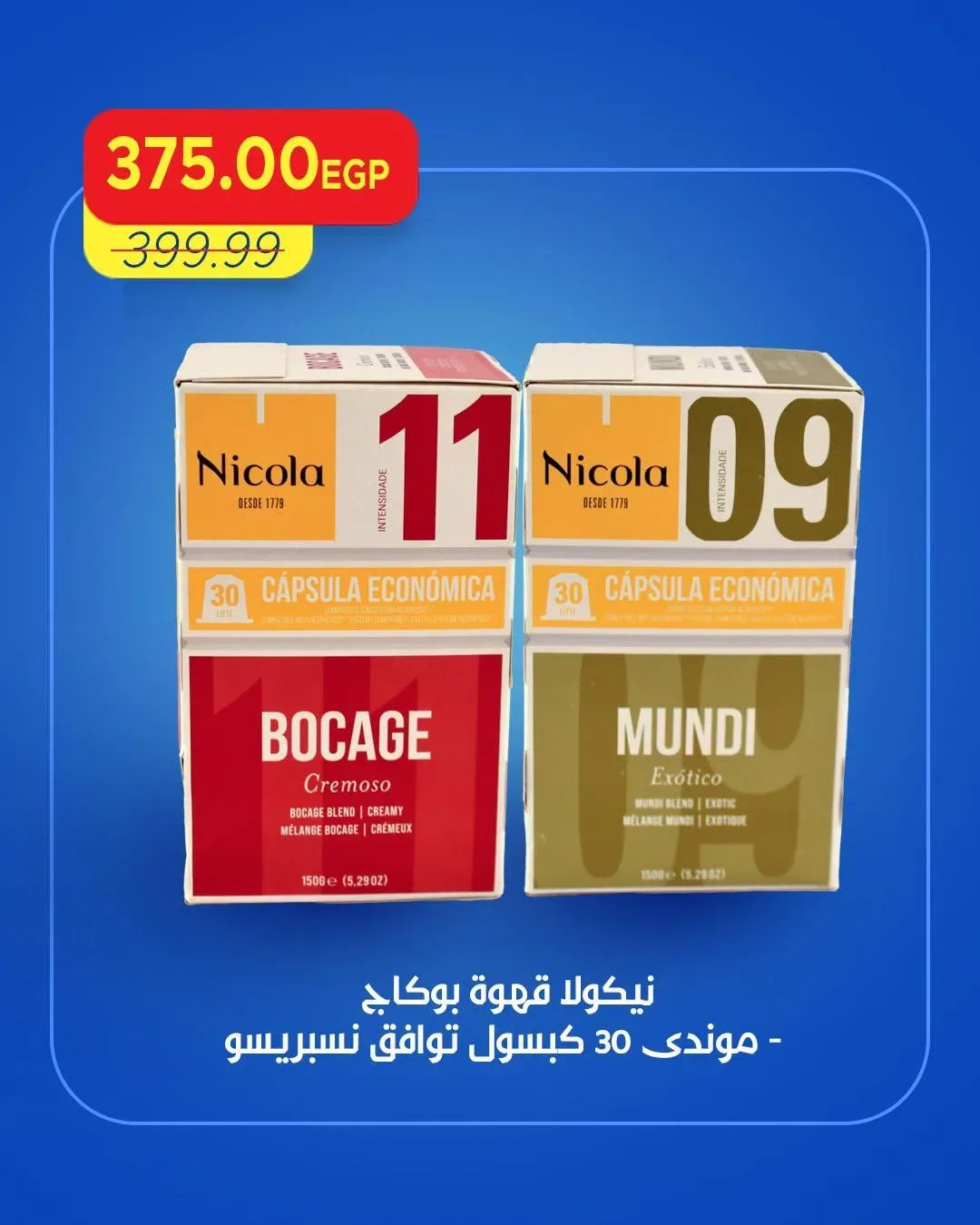 صفحة 17