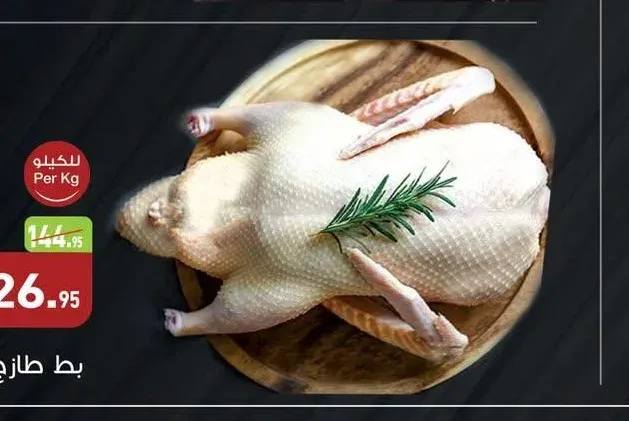 بط طازج
