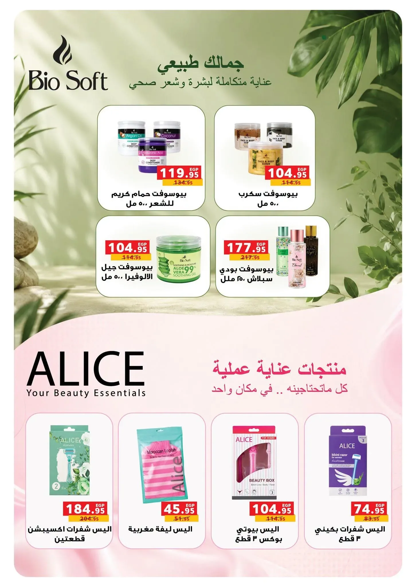 صفحة 12