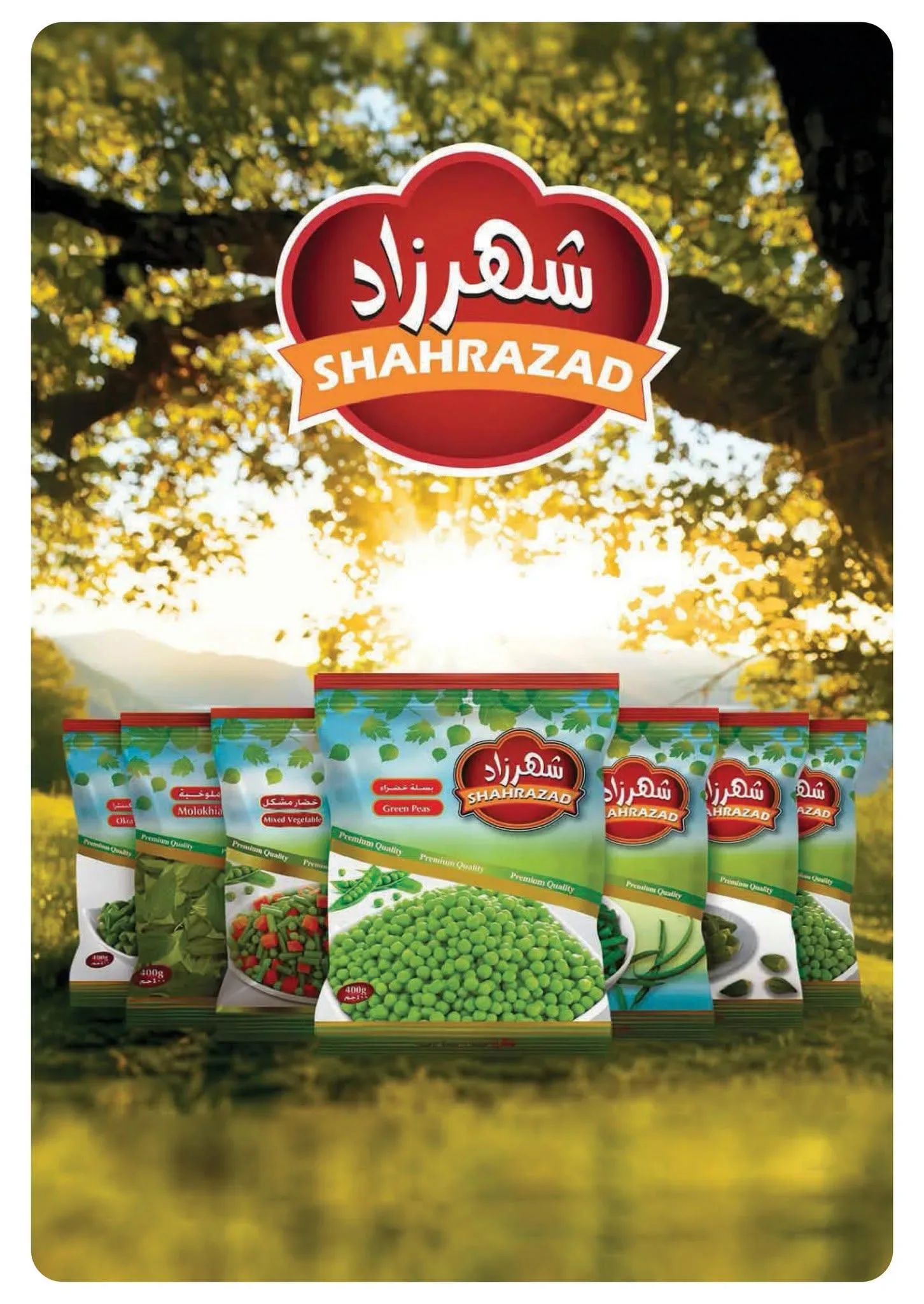 صفحة 31