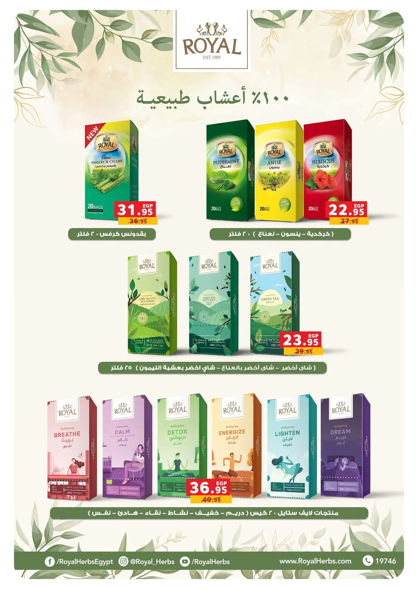 صفحة 46