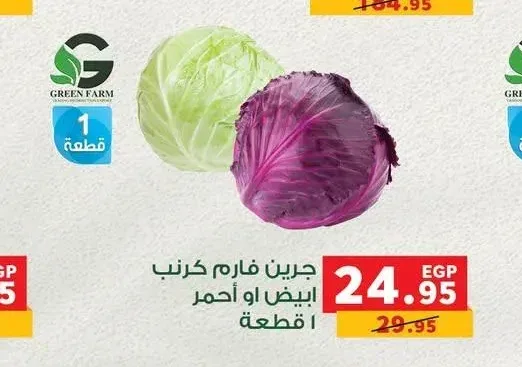 جرين فارم كرنب ابيض او احمر 1 قطعة