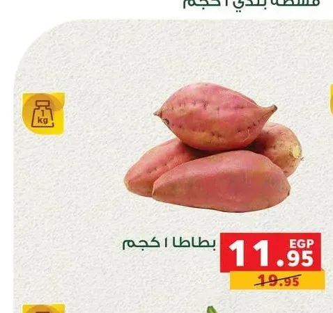 بطاطا 1 كجم