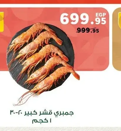 جمبري قشر كبير 20-30 1 كجم