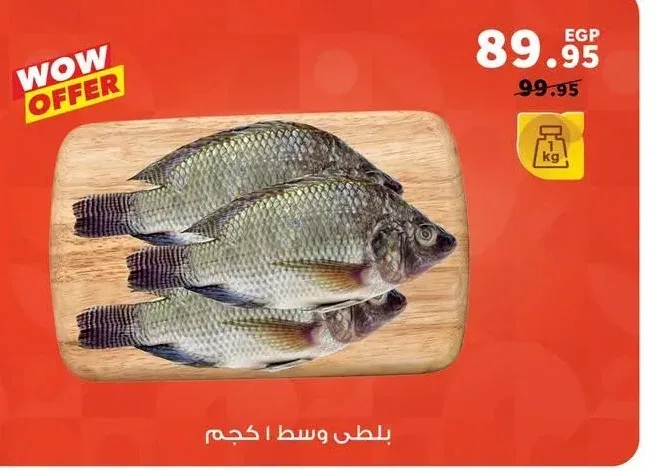 سمك بلطي وسط 1 كجم