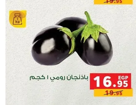 باذنجان رومي 1 كجم