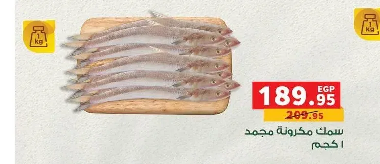 سمك مكرونة مجمد 1 كجم