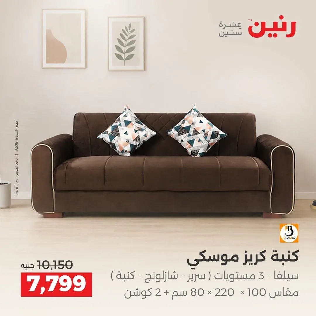 صفحة 43
