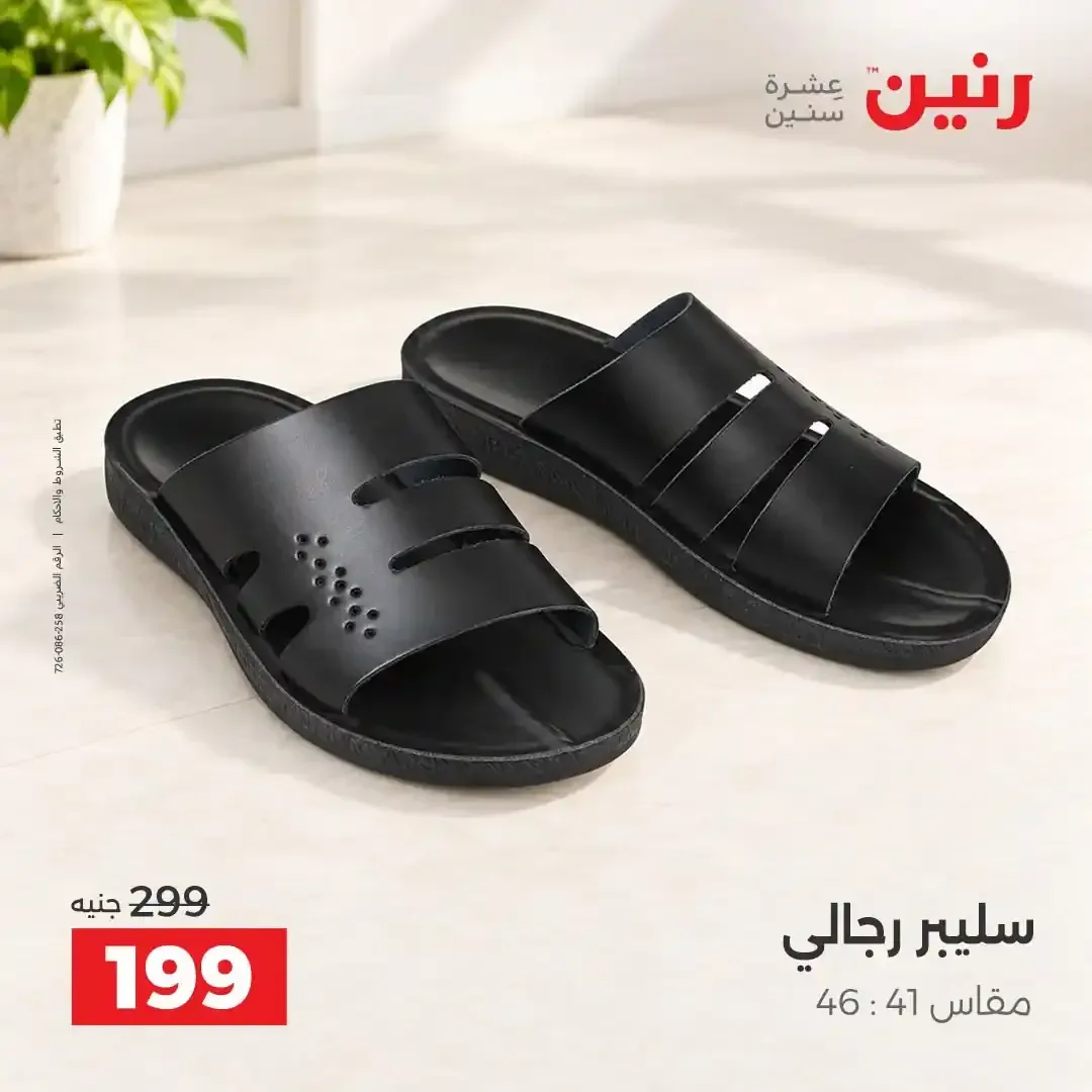 صفحة 13