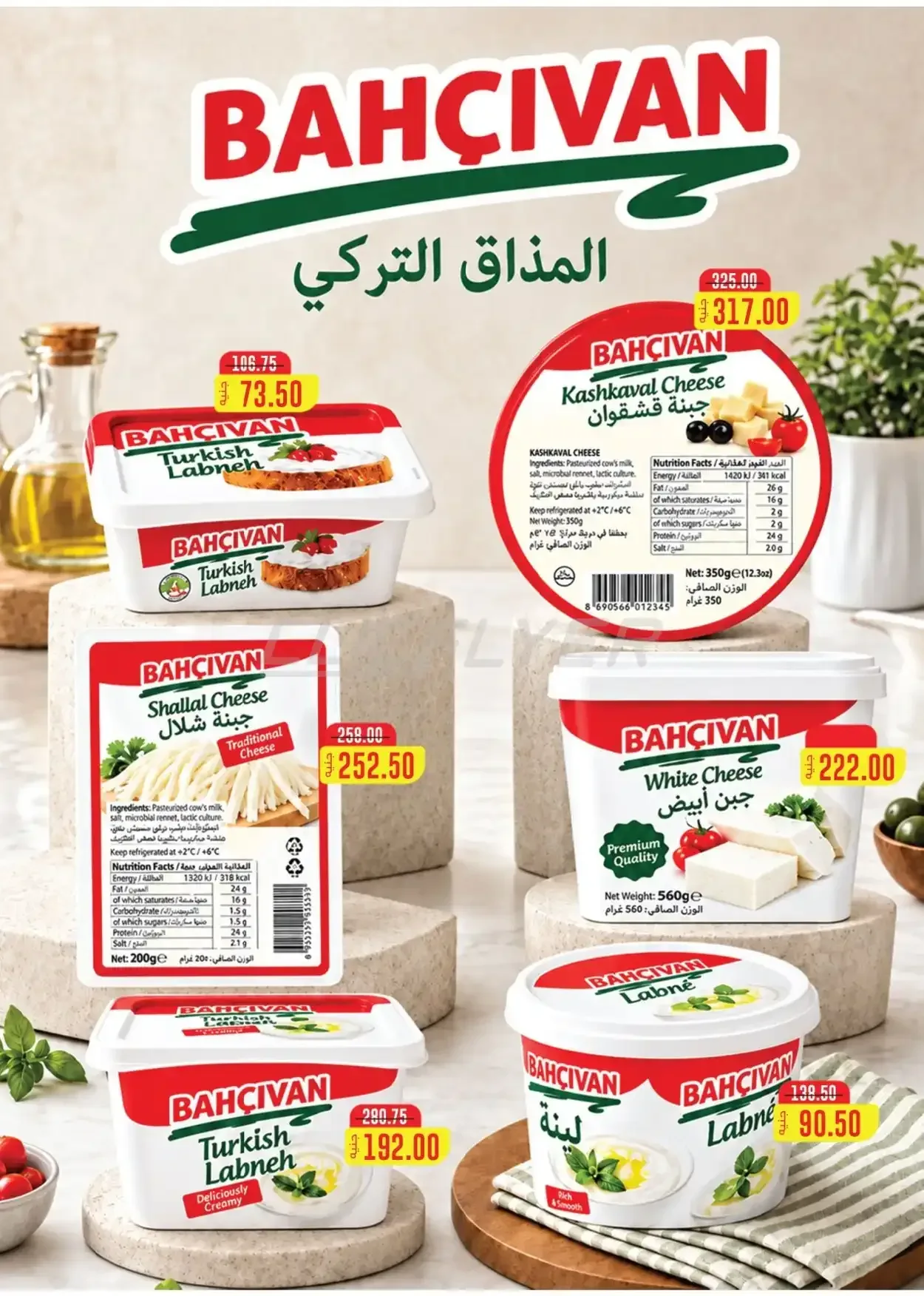 صفحة 15