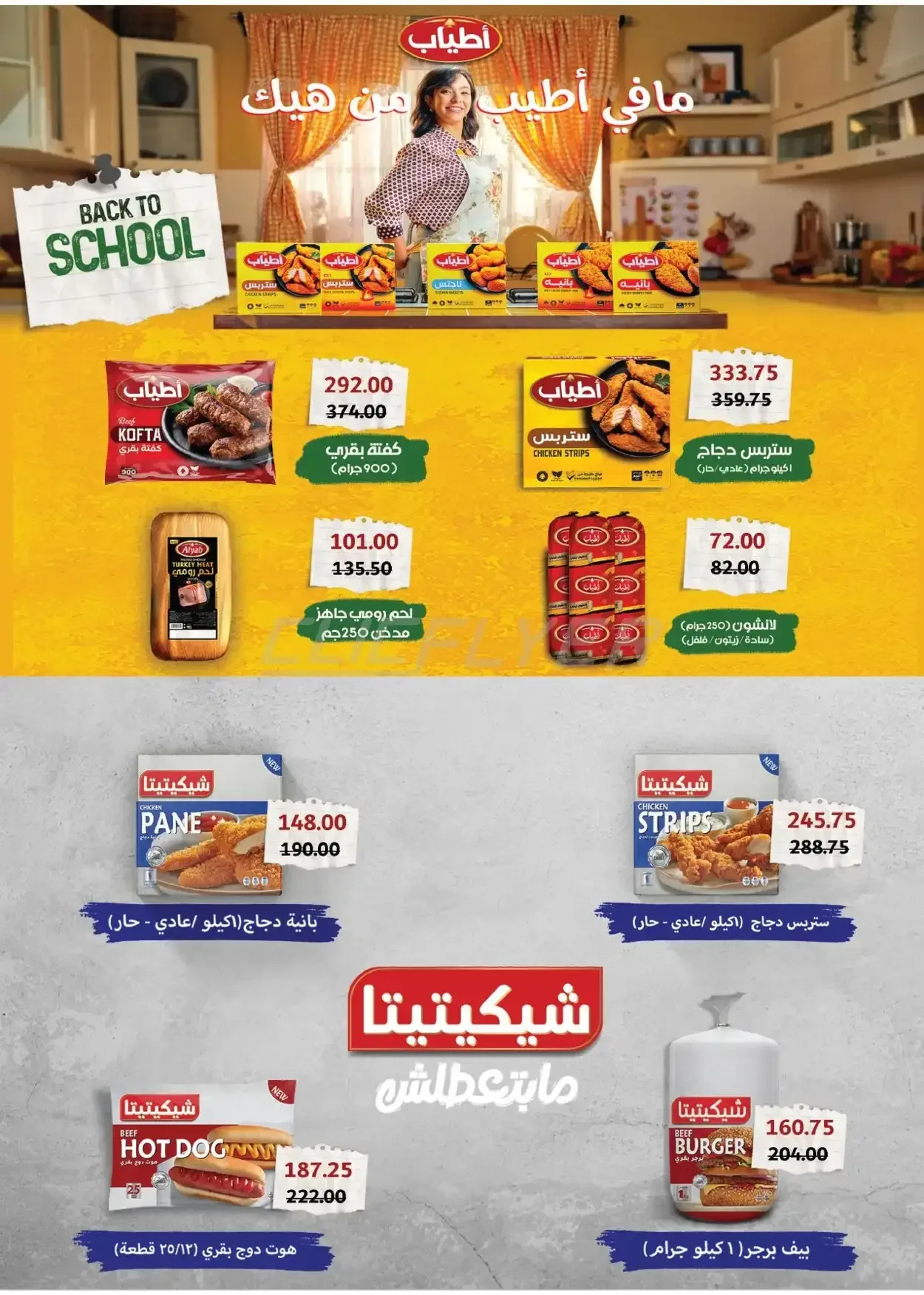 صفحة 24