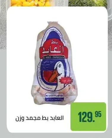 العابد بط مجمد وزن