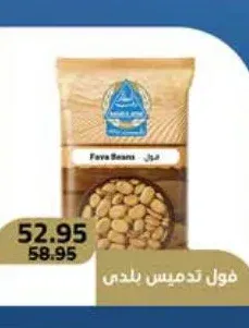 فول تدميس بلدي