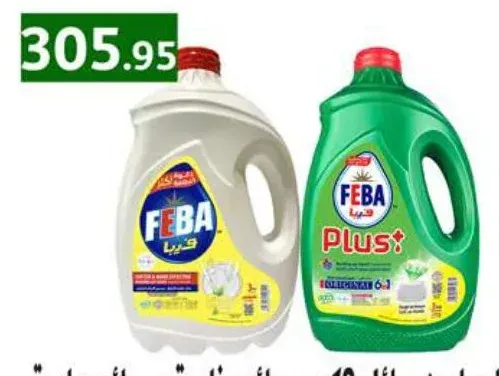 Feba Dishwashing Liquid 3kg Special Scents + Regular Scents