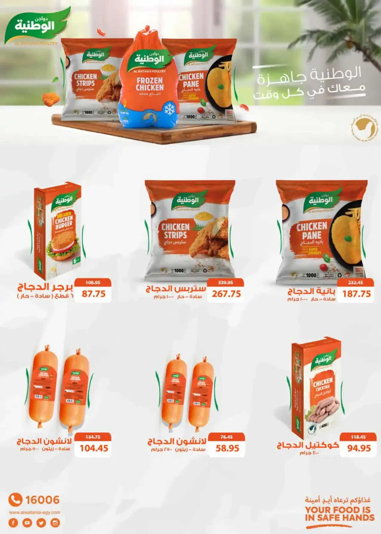 صفحة 19