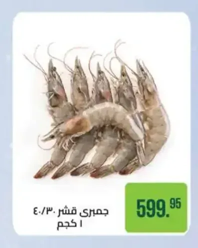 جمبري قشر 40/30 1 كجم