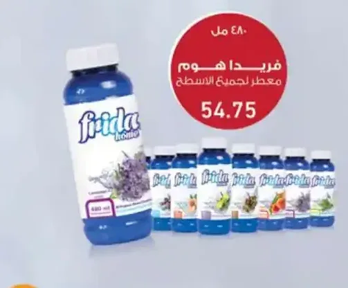 فريدا هوم معطر لجميع الاسطح 480 مل