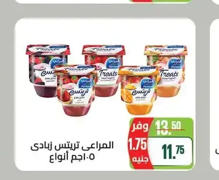 المراعي تريتس زبادي 105 جم