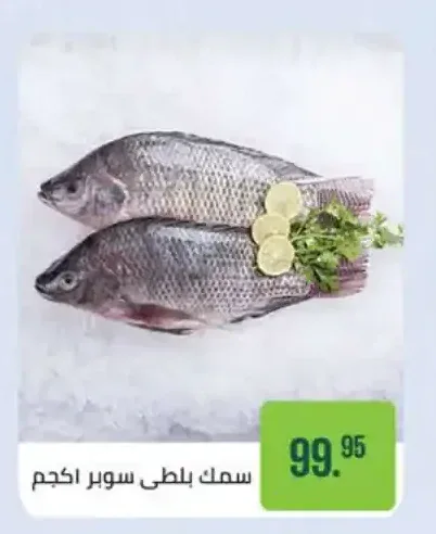 سمك بلطي سوبر 1 كجم