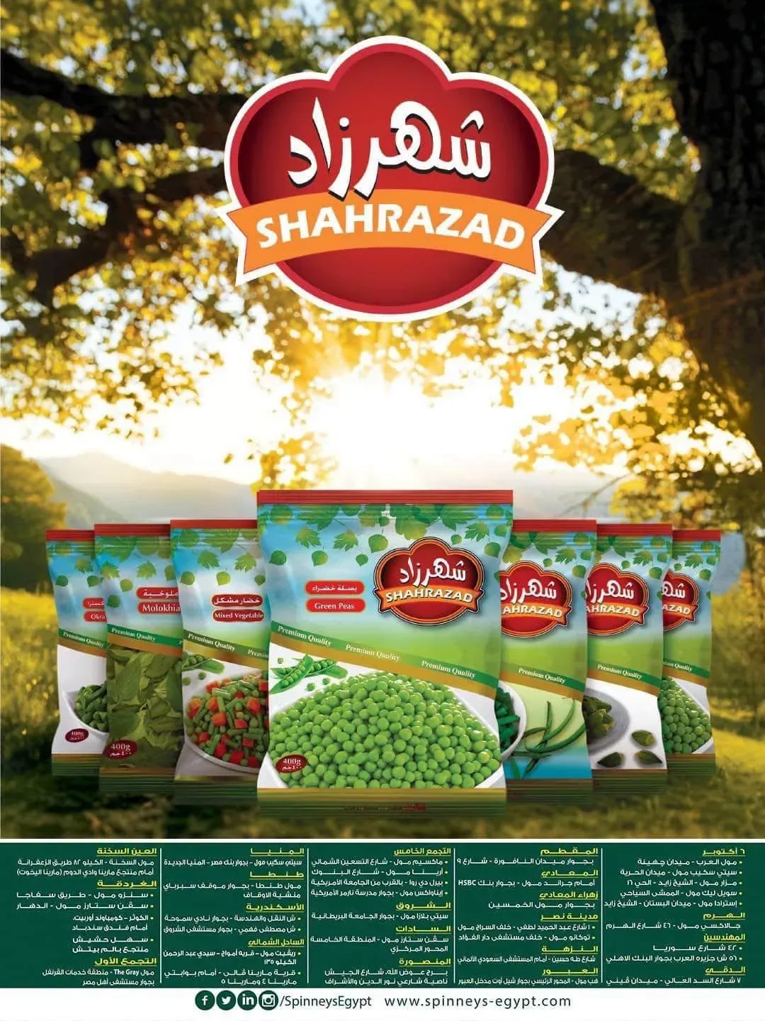صفحة 2