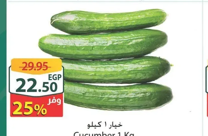 خيار 1 كيلو