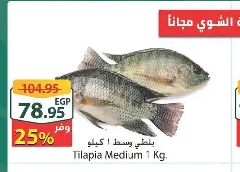 سمك بلطي وسط 1 كيلو