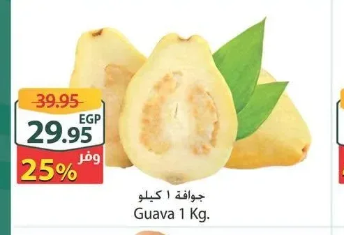 جوافة 1 كيلو