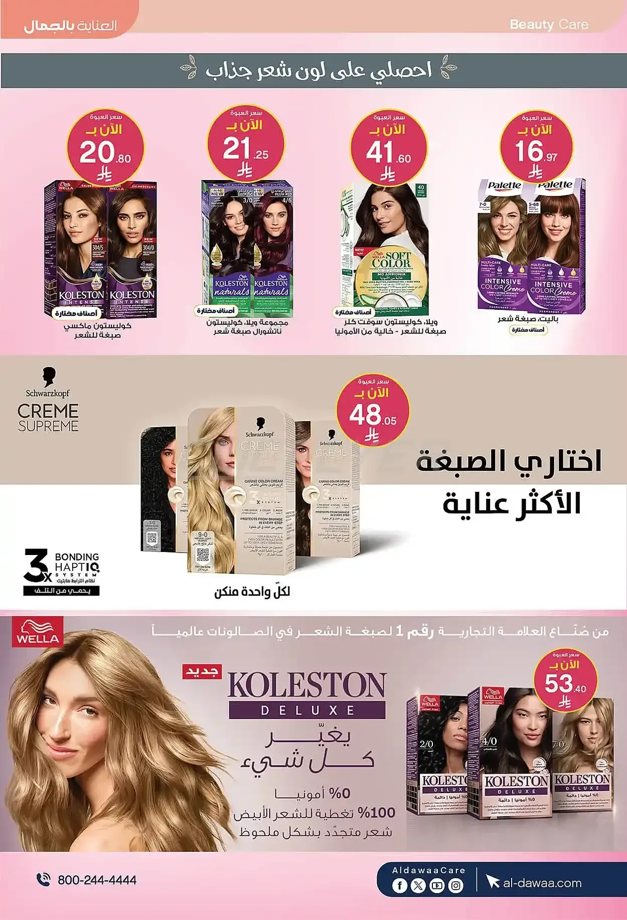 صفحة 13