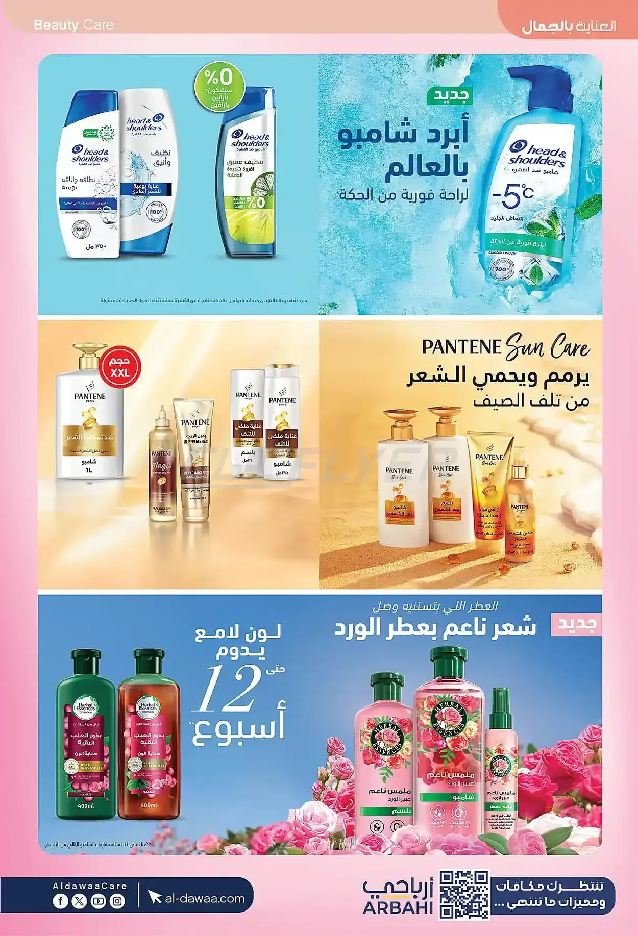 صفحة 16