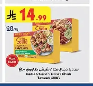 ساديا دجاج تكا / شيش طاووق ٤٠٠غ