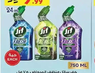جف سائل منظف المرحاض 750 مل