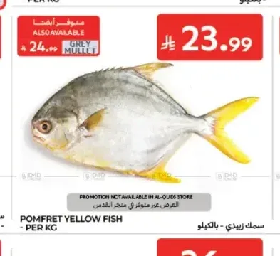 سمك زبيدي