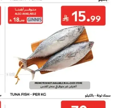 سمك تونة