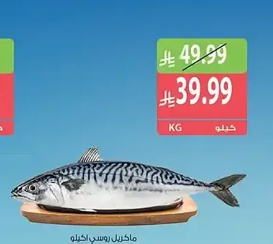 ماكريل روسي 1 كجم