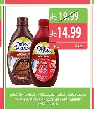 أورينت جاردنز شراب الشوكولاتة / الفراولة 680 جم